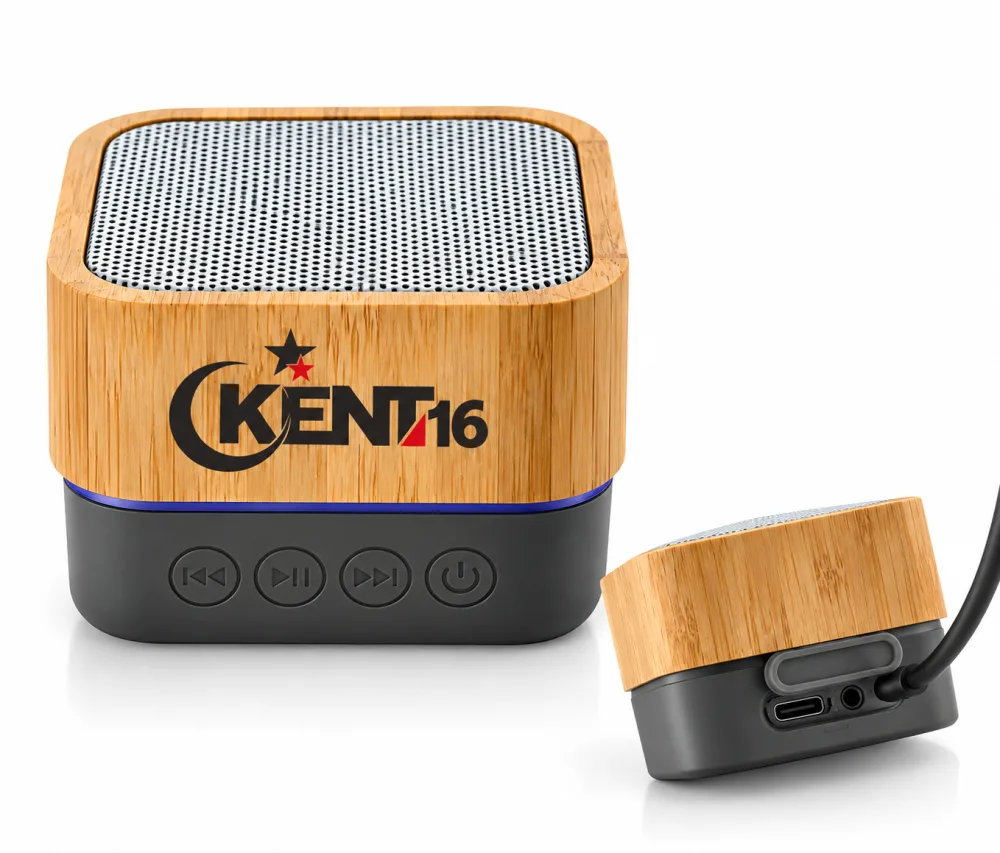 Bluetooth Hoparlör